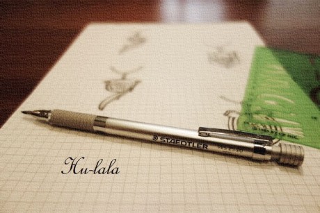 DSC04516 - コピー